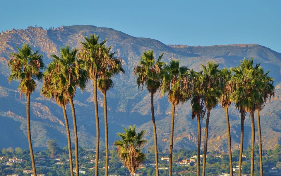 Birnam Wood Neighborhood Guide Kendrick Guehr