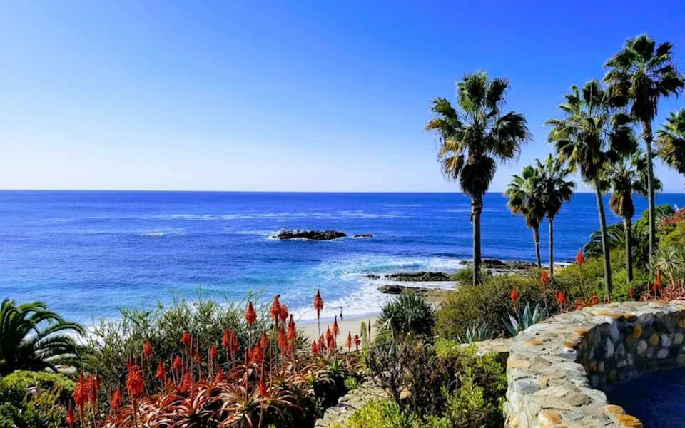 Living in Laguna Beach Blog Brooks Bailey