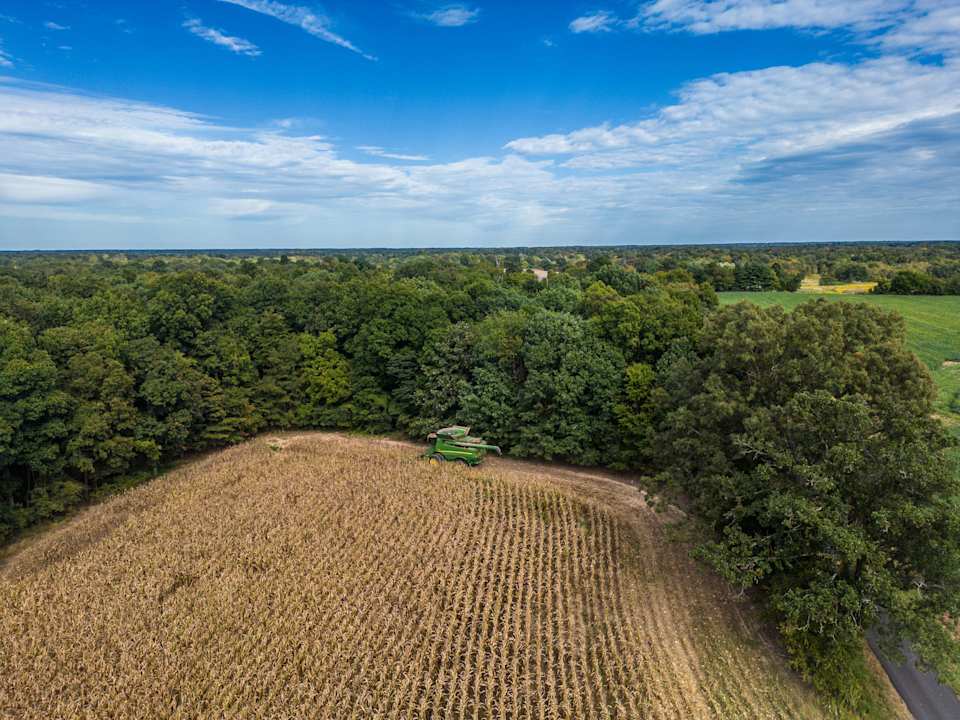 Elkhorn Neighborhood Guide