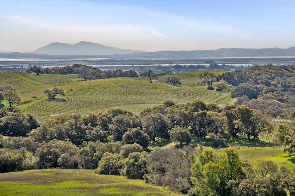 Ranch, Sonoma Marin County Real Estate Agent