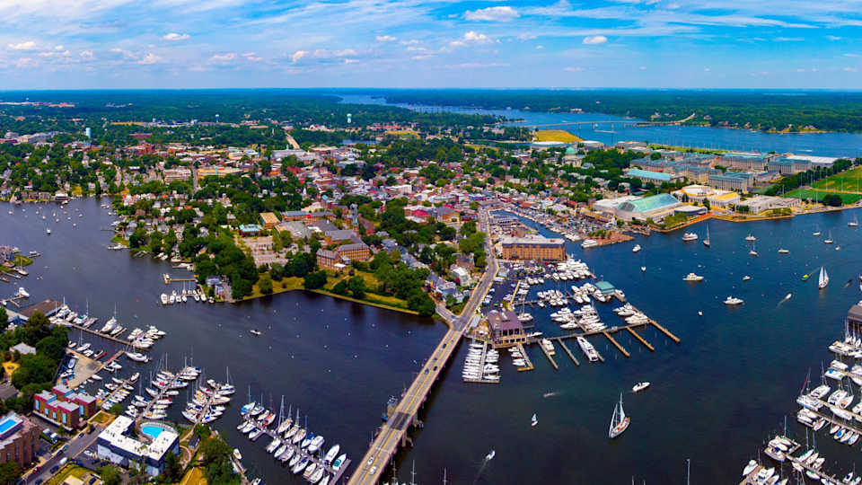 Going Green Annapolis Style The Tower Team Blog Annapolis Real