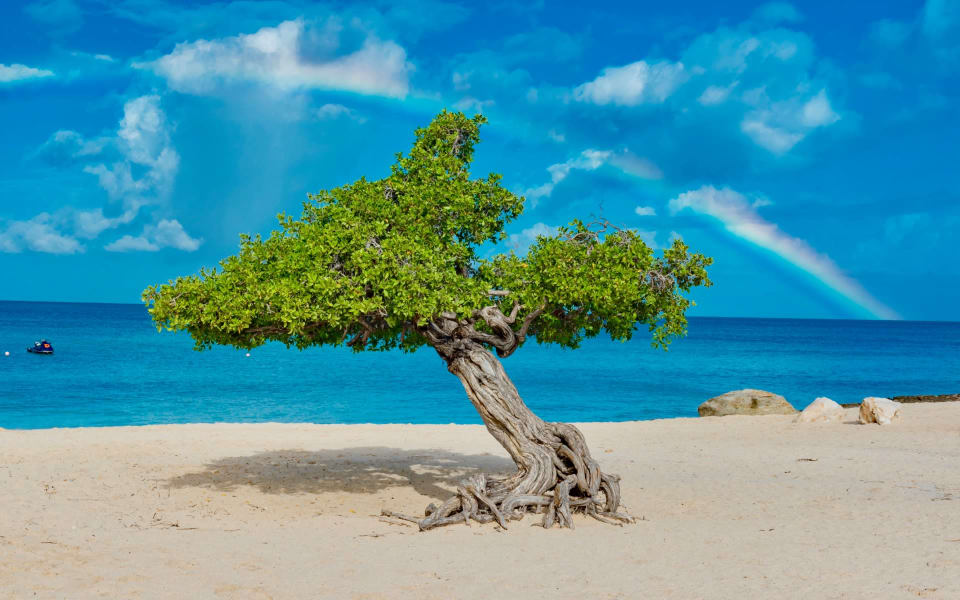 Noord Community Guide | Bold Real Estate Aruba | Noord Real Estate ...