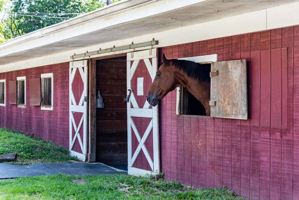 Muttontown Neighborhood Guide