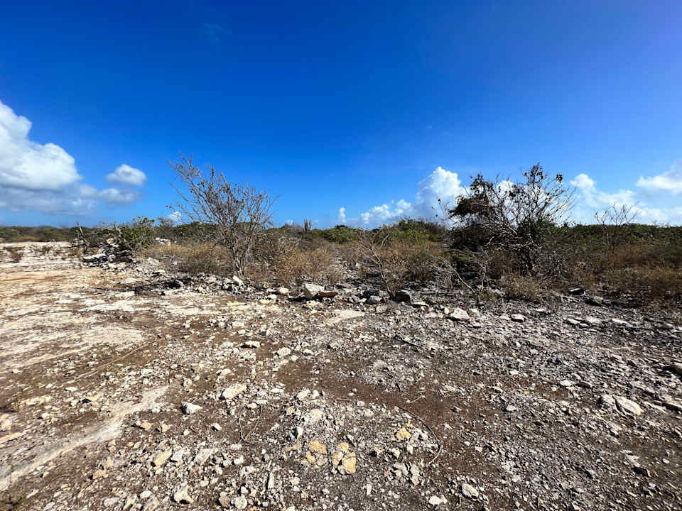 779 .526 Acres at Loblolly Bay Luxury Properties BVI Tortola Real