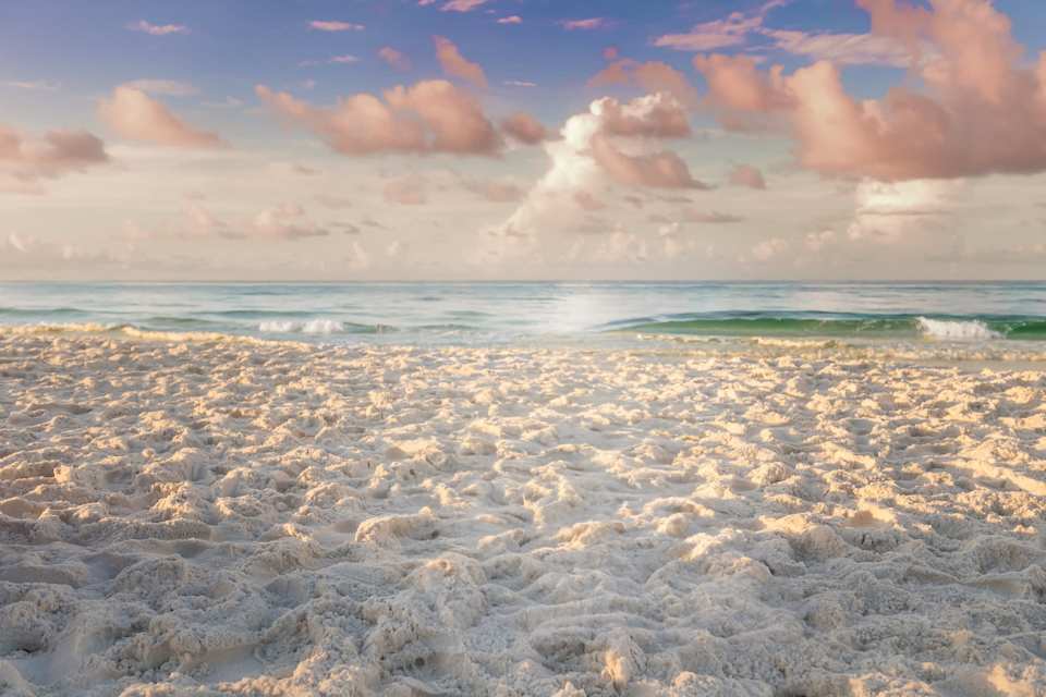 Emerald Coast Events | February 2024 | Sold in Paradise Team