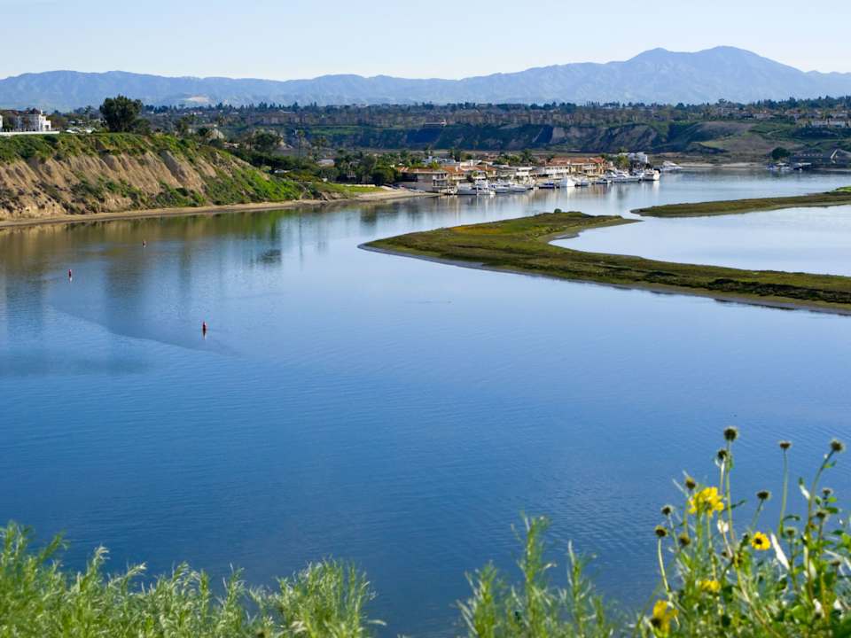 Dover Shores Neighborhood Guide