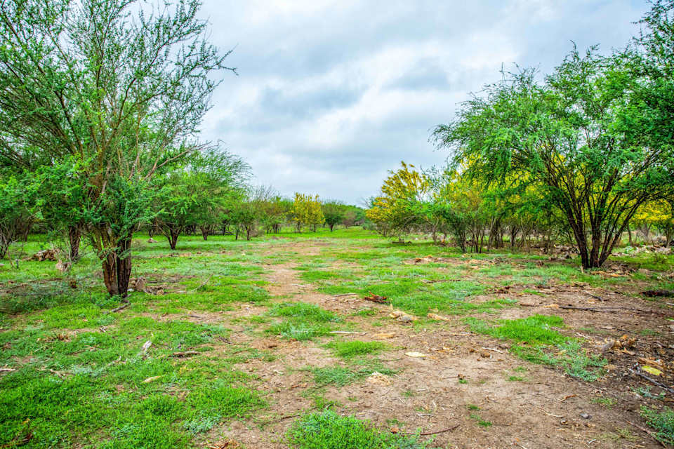 31 Acres Franklin Ranch Rd