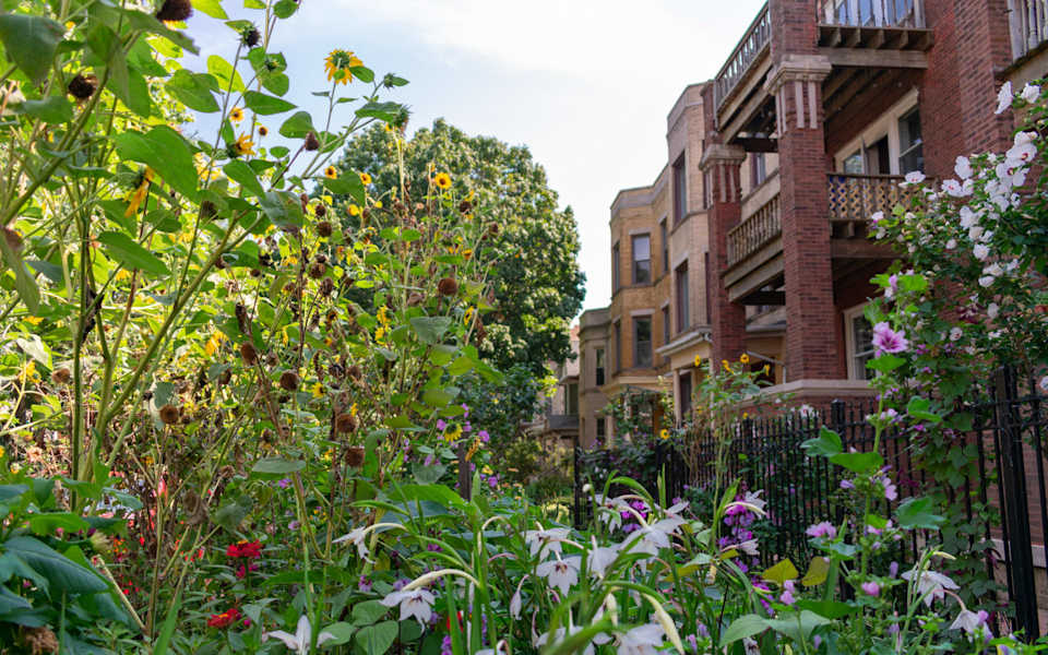 Lakewood Balmoral Neighborhood Guide John Charmelo