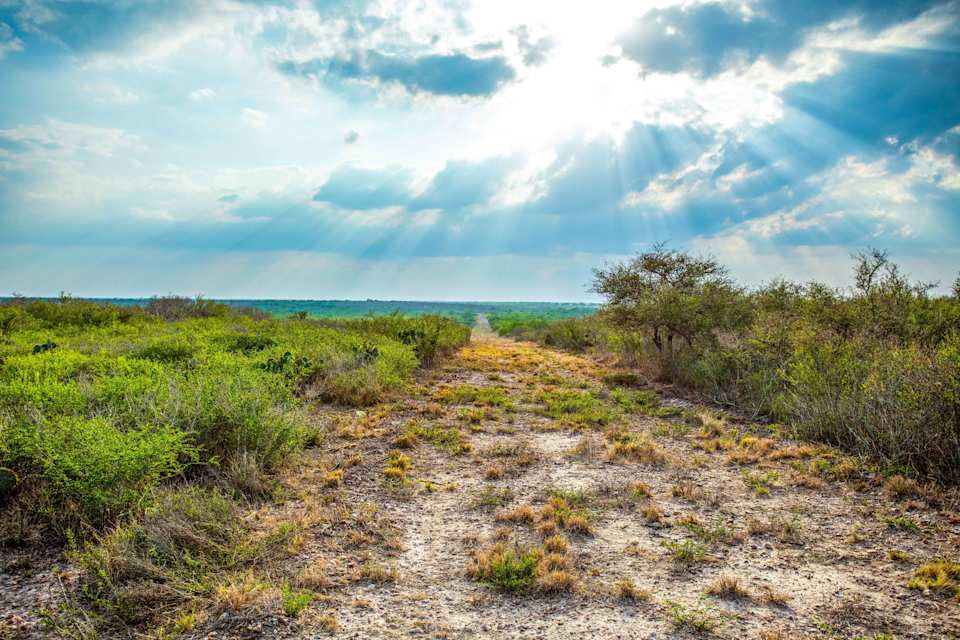 30 Acres Franklin Ranch Rd