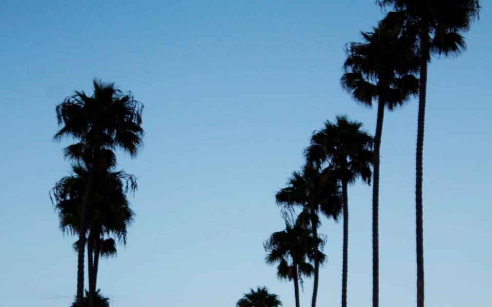 Harbor View Hills Real Estate Houses & Homes for Sale