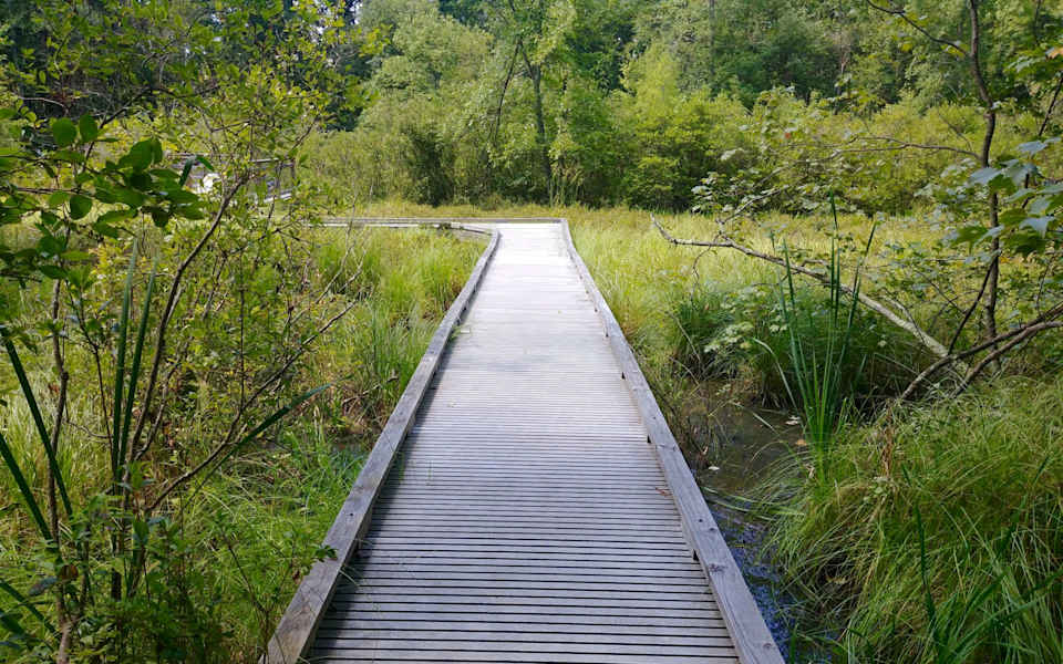 Acton Neighborhood Guide