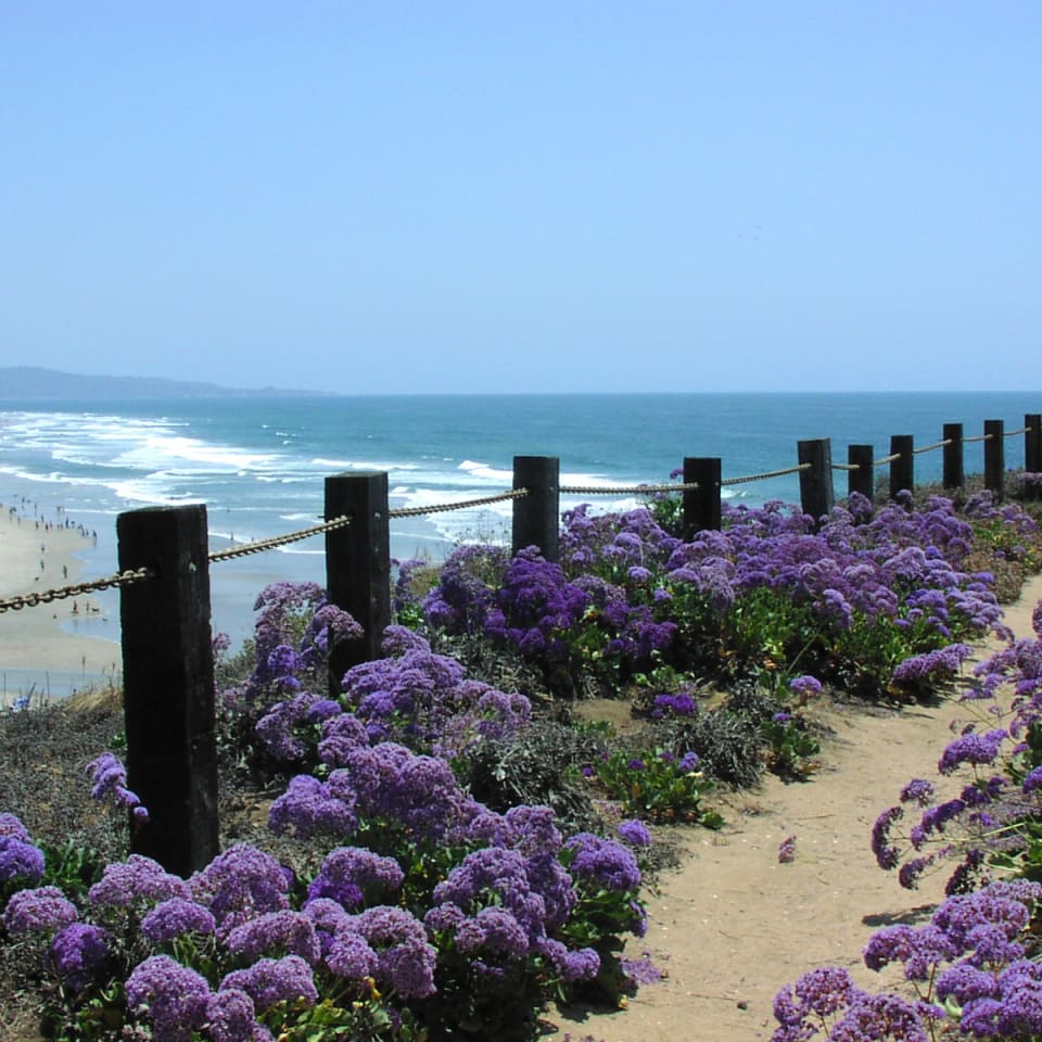 Del Mar Real Estate Houses and Homes for Sale Harden Wright