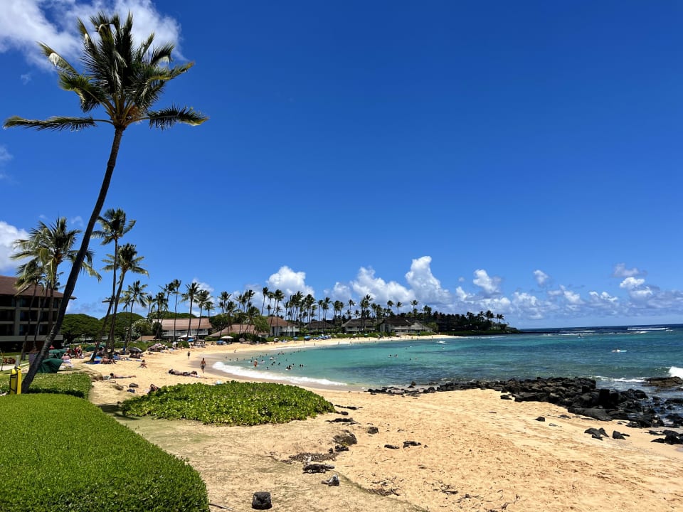 Kauai's 2024 Home Exemptions are due September 30th, 2023 Blog