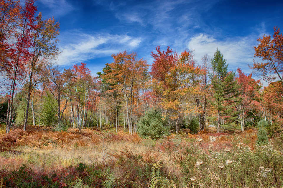 Clearfield County Real Estate Ryen Realty, LLC.