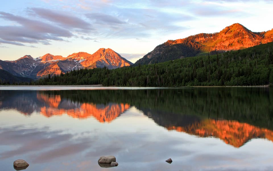 Eden Neighborhood Guide Liza Story