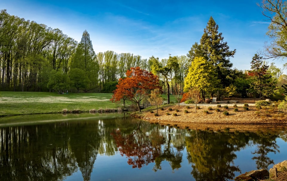 Canterwood Neighborhood Guide