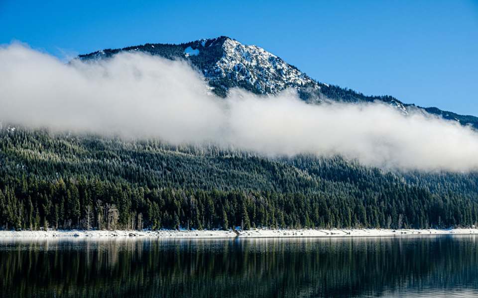 Roslyn Ridge / Evergreen Valley Neighborhood Guide