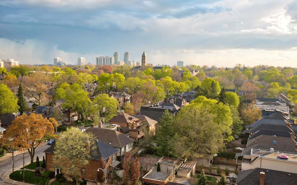 Forest Hills Neighborhood Guide
