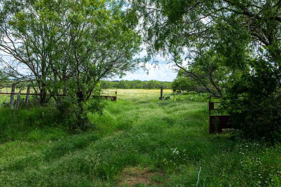 133 Acres, 2613 CR 124