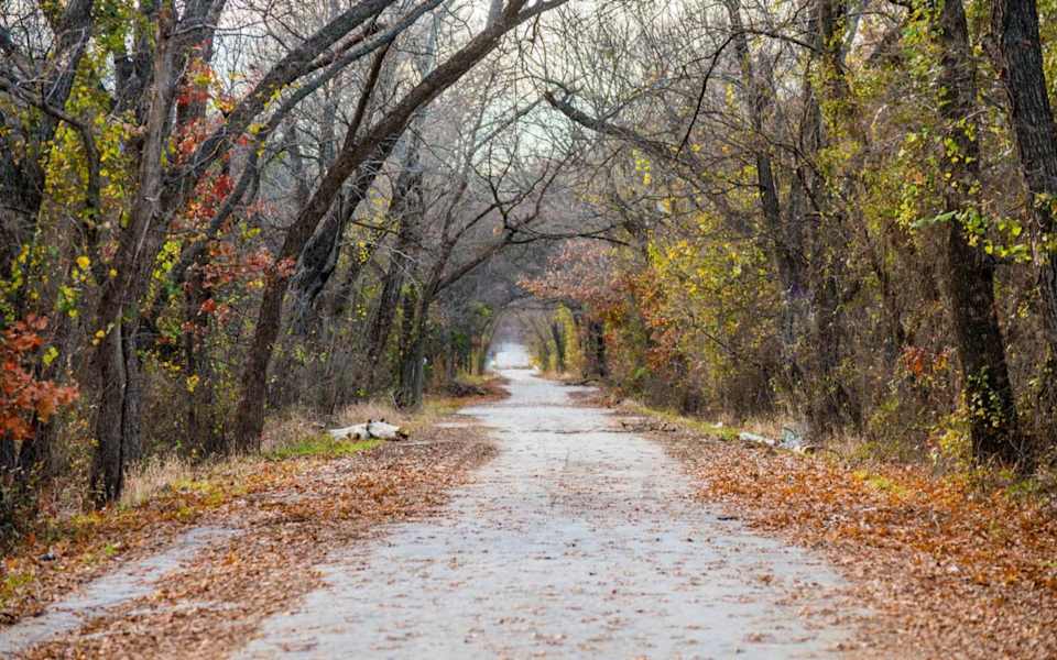 Argyle JLUX Homes Realty Group