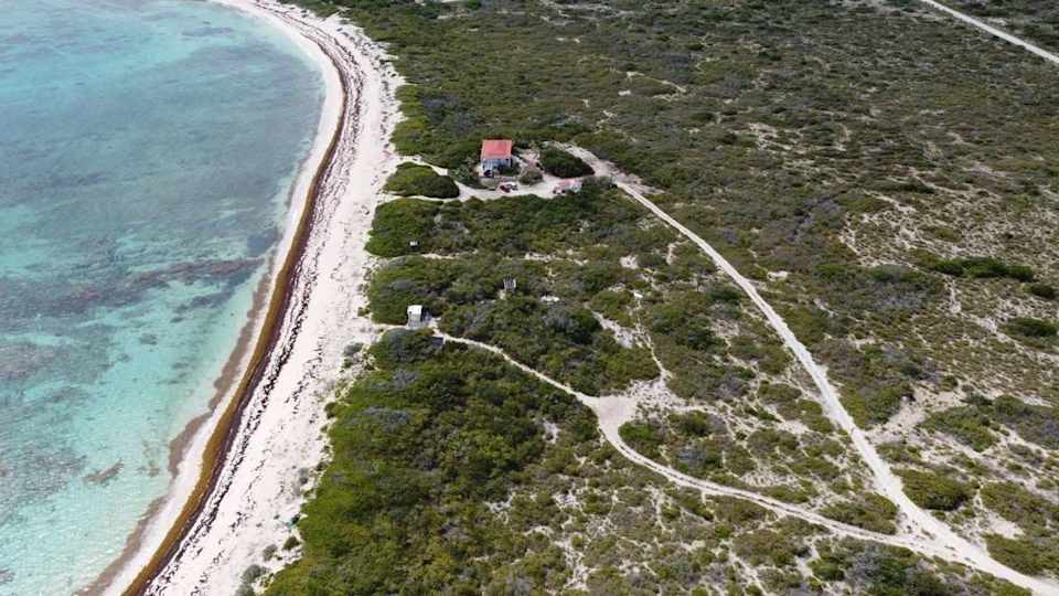 152 Beachfront Land Anegada (Under Contract) Luxury Properties BVI