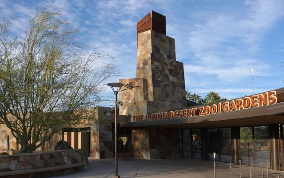 Things to Do in Palm Desert Blog OMNI Real Estate Group