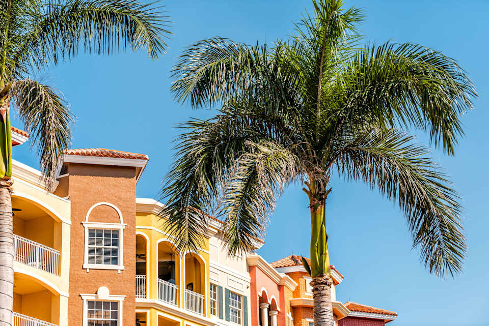 Bayfront Properties Neighborhood Guide