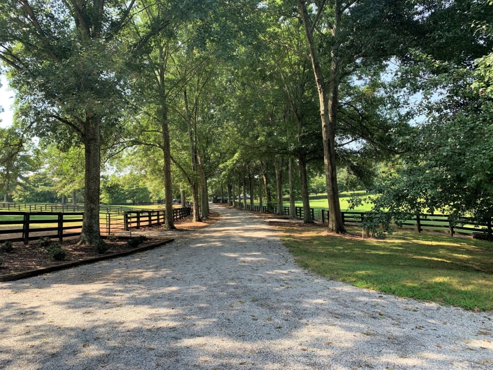 Homestead Exemption Increase in Milton for Those Over 65 The Jenny