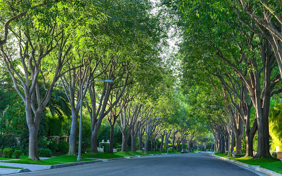 Westbury Real Estate Homes for Sale in Westbury, SC