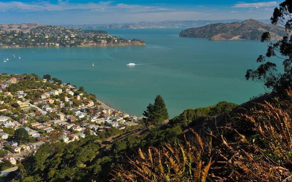 Belvedere Neighborhood Guide