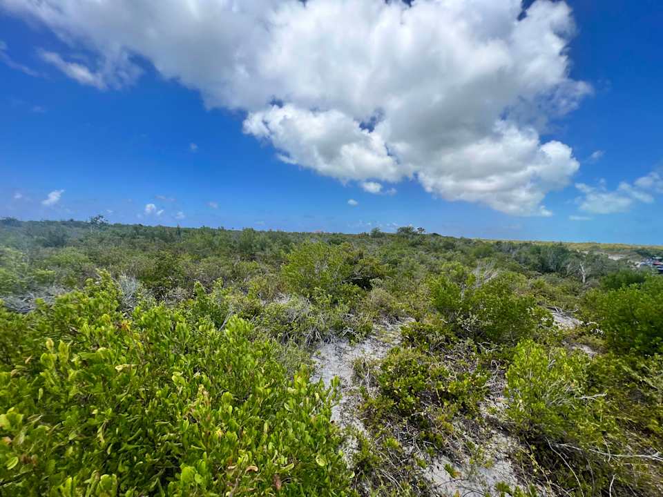 784 .509 Acres at West End, Anegada Luxury Properties BVI Tortola