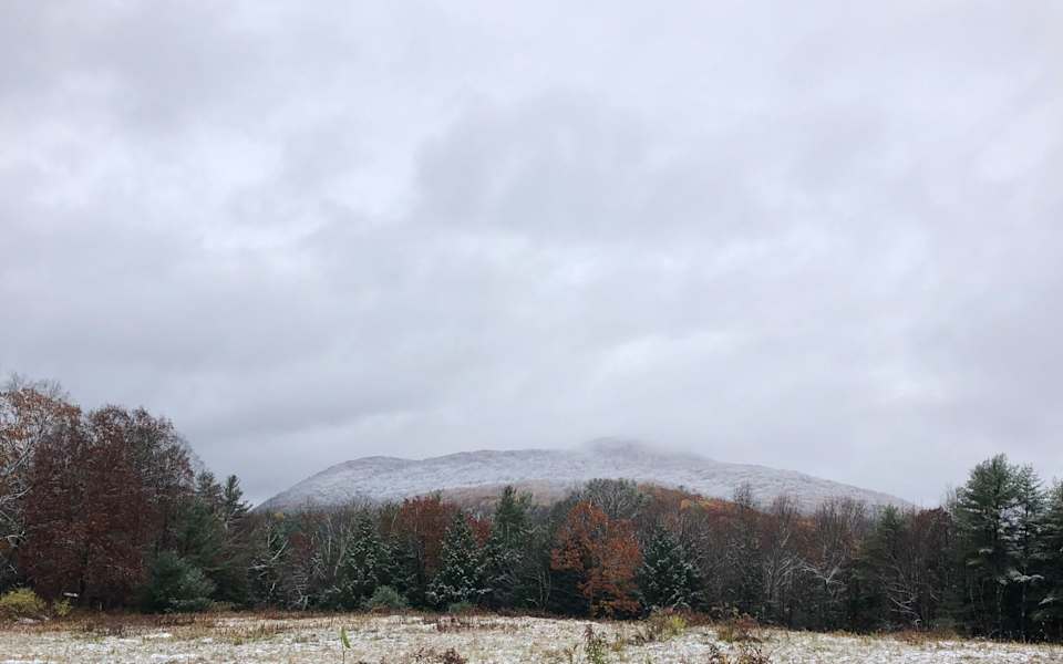 West Stockbridge Neighborhood Guide Birch Properties