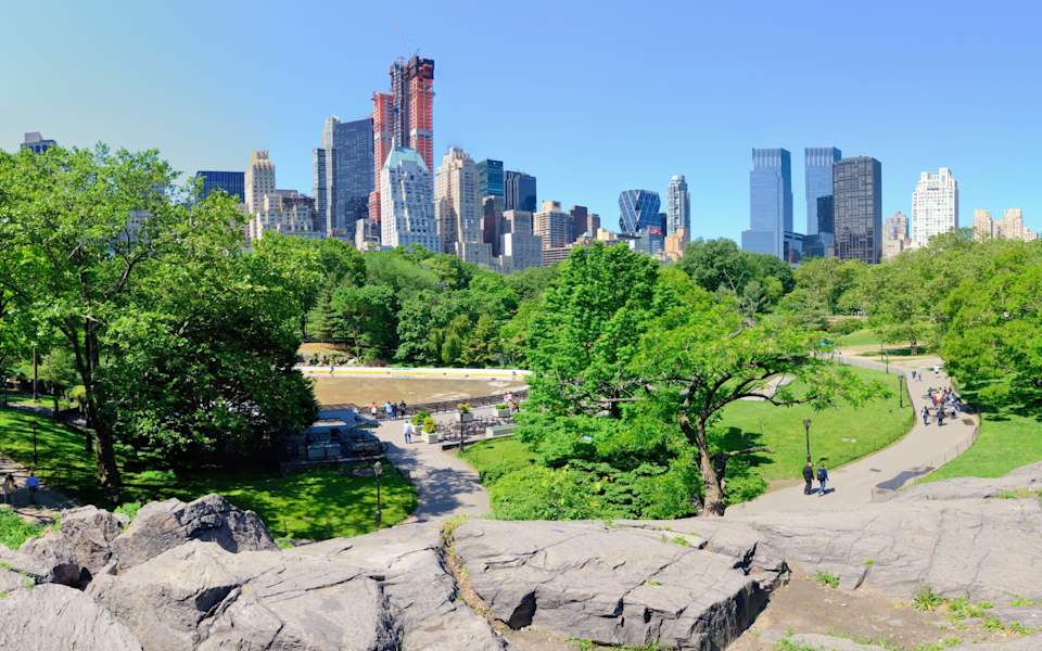 Central Park South Neighborhood Guide