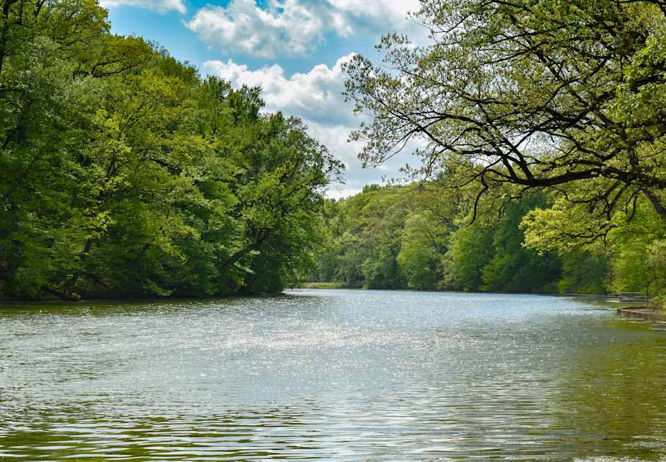 Mountainside Community Guide