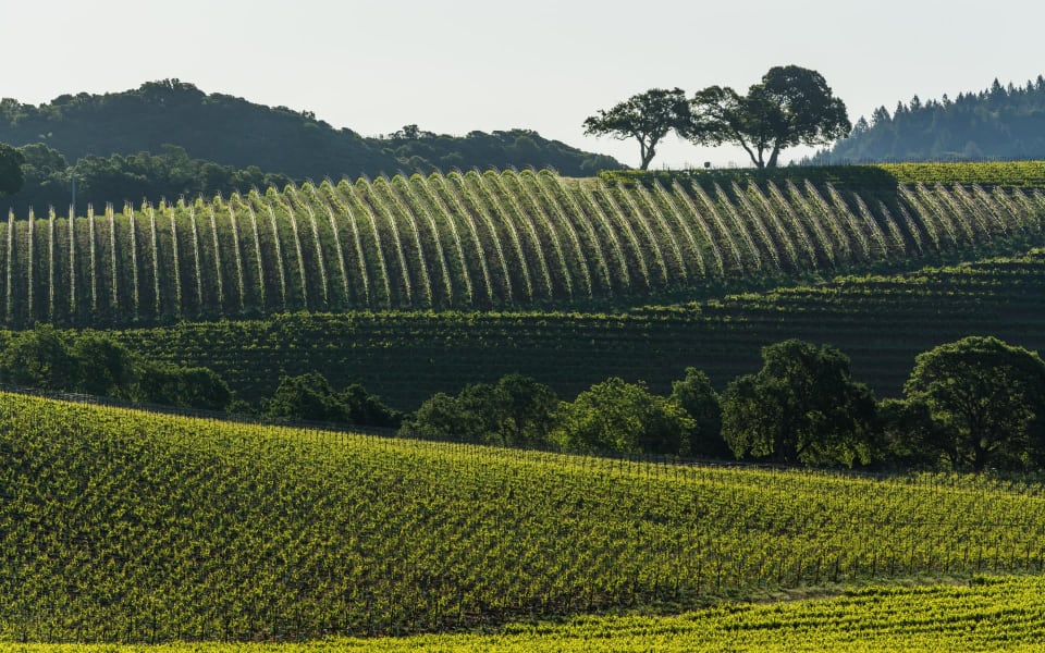 Kenwood Real Estate Homes for Sale in Kenwood, CA Napa Valley & St