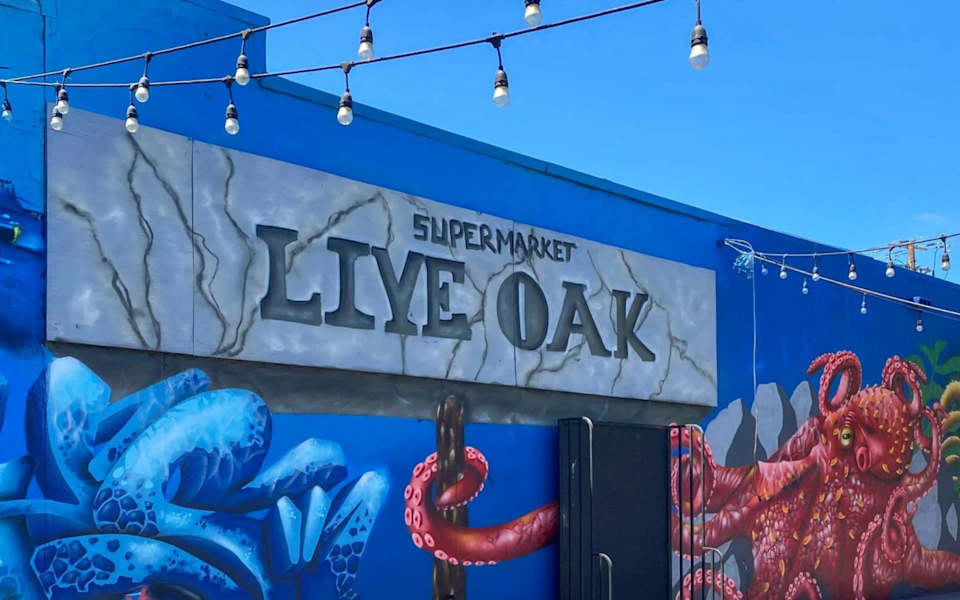 Live Oak Pistol Pete Real Estate Peter Eubank Room Real Estate