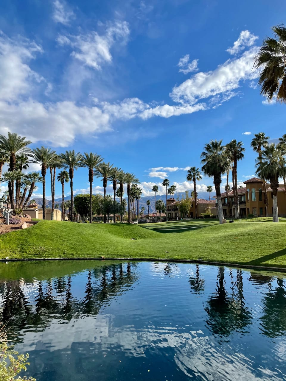 Palm Desert Real Estate Homes for Sale in Palm Desert