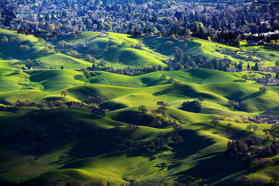 Living in Danville, CA Neighborhood Guide Team Schubb