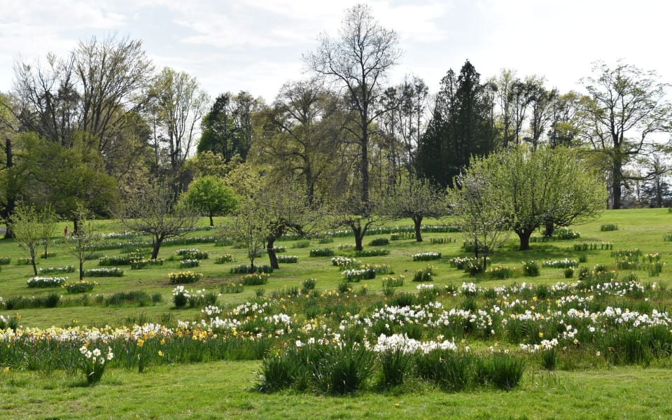 New Canaan Real Estate Neighborhood Guide The Local Realtors