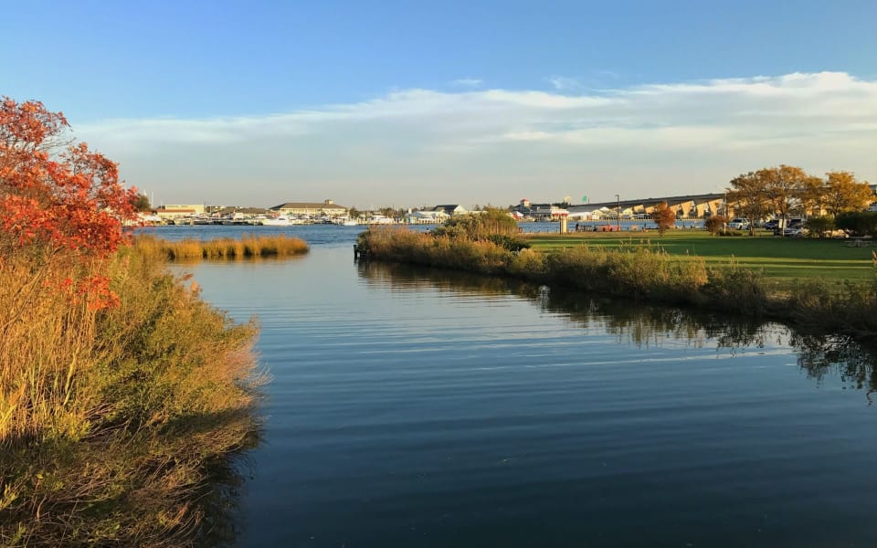 Kent Island Real Estate Homes for Sale in Kent Island