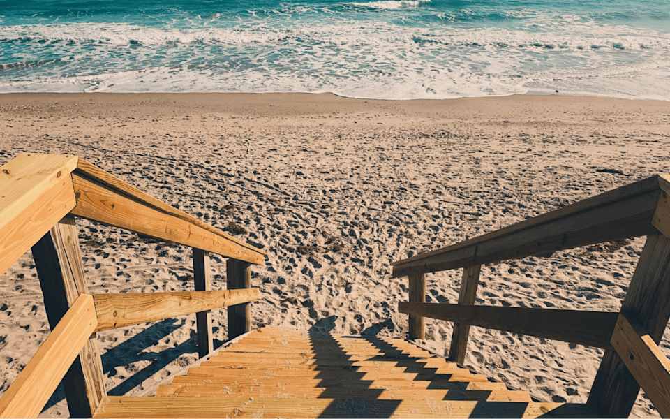 The Top Attractions in Naples, FL, For Locals or Tourists Blog