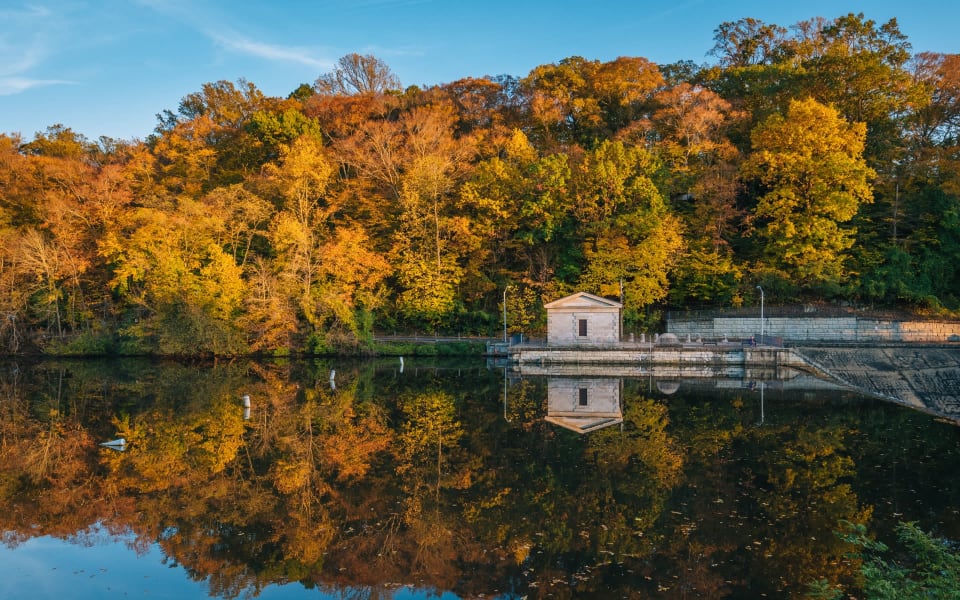 Hampden/Roland Park Real Estate Area Guide Purnell Group