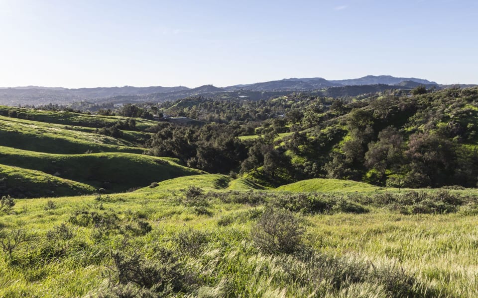 Topanga Canyon Real Estate Community Guide Keyanna Rees