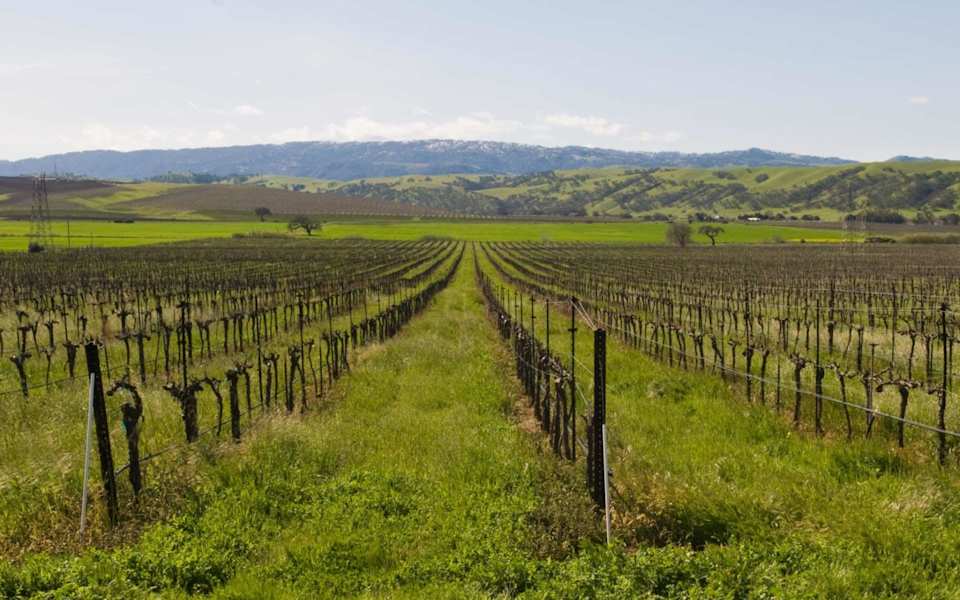 Livermore Notable Real Estate