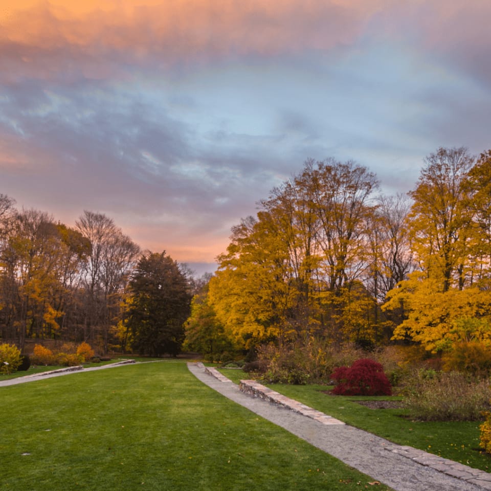 Neighborhood Update Jamaica Plain Blog Boston Real Estate Agent