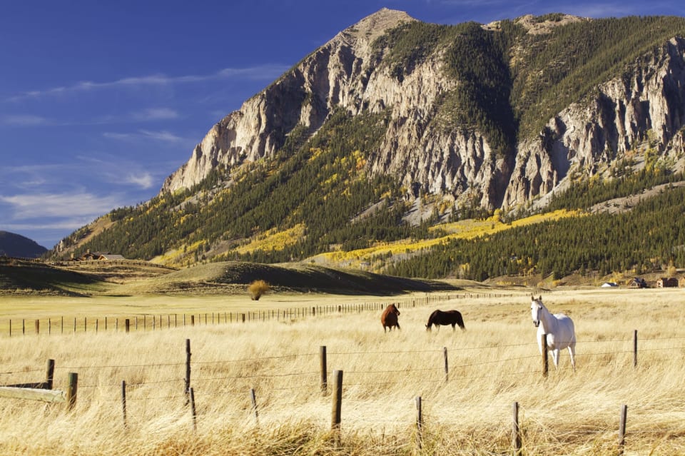 The Best Guided Fly Fishing Crested Butte — Jones Guides