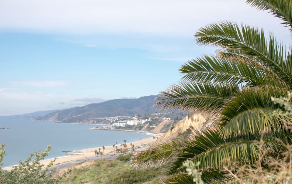 Malibu Neighborhood Guide