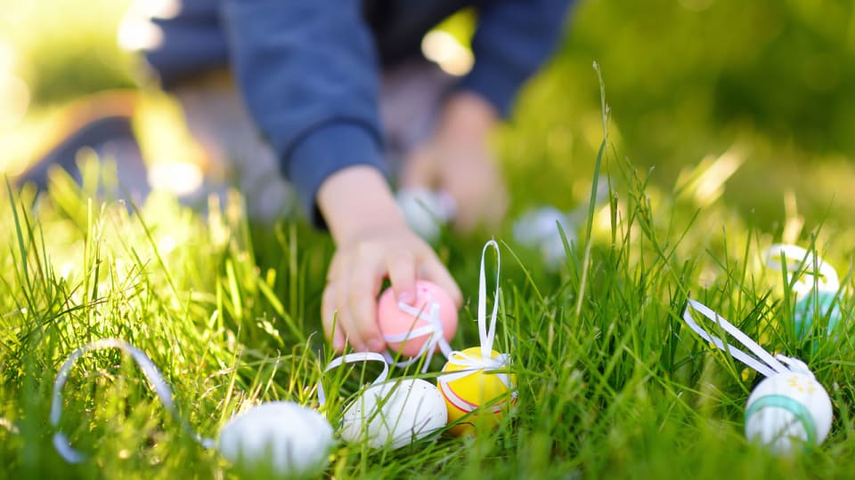 THINGS TO DO Easter Weekend in Charlotte