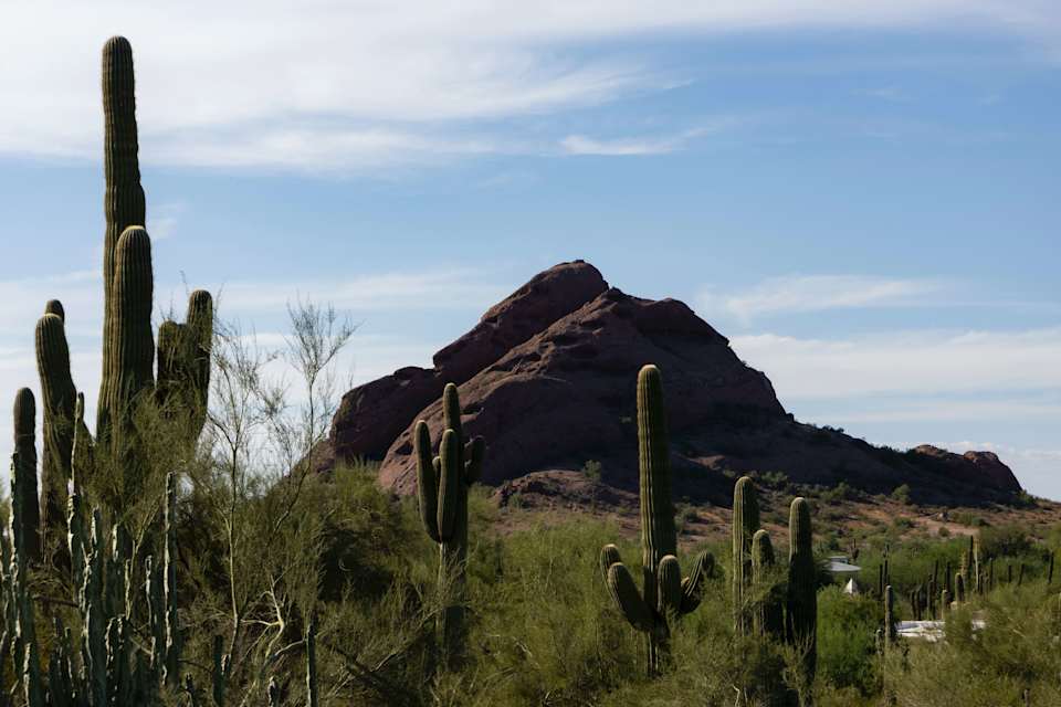 North Phoenix Community Guide Homes for Sale Rider Elite