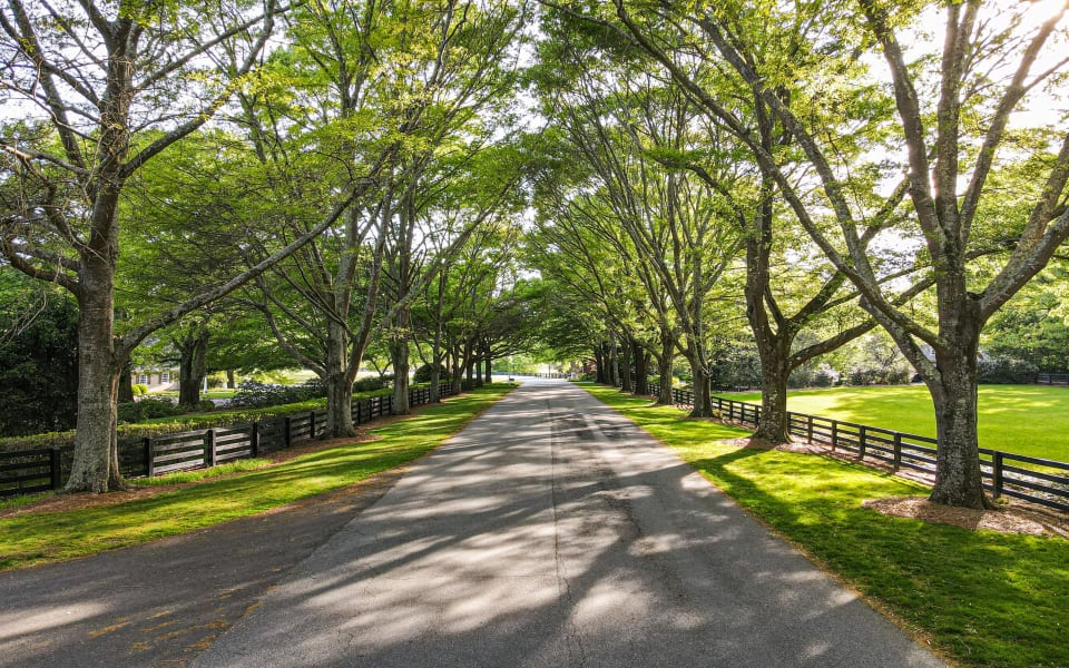 North Valley Real Estate Homes for Sale in North Valley Milton, GA